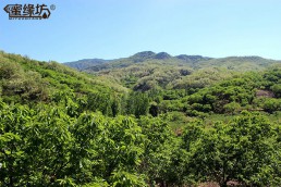 燕山山脈養(yǎng)殖基地